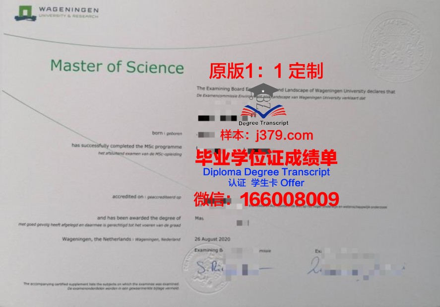 胡斯大学学历提升:毕业证助力职场晋升