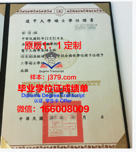 萨维德里普莱浦那大学博士学位证明