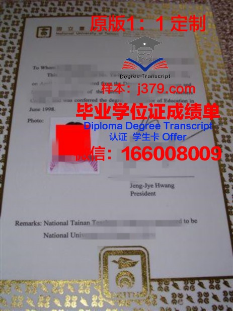 东海本科证书课程设置与特色