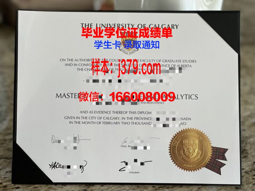 卡尔加里大学本科阶段资格证书