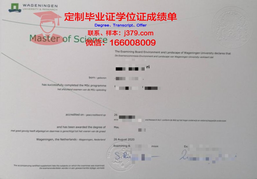 马斯特里赫特大学硕士证书