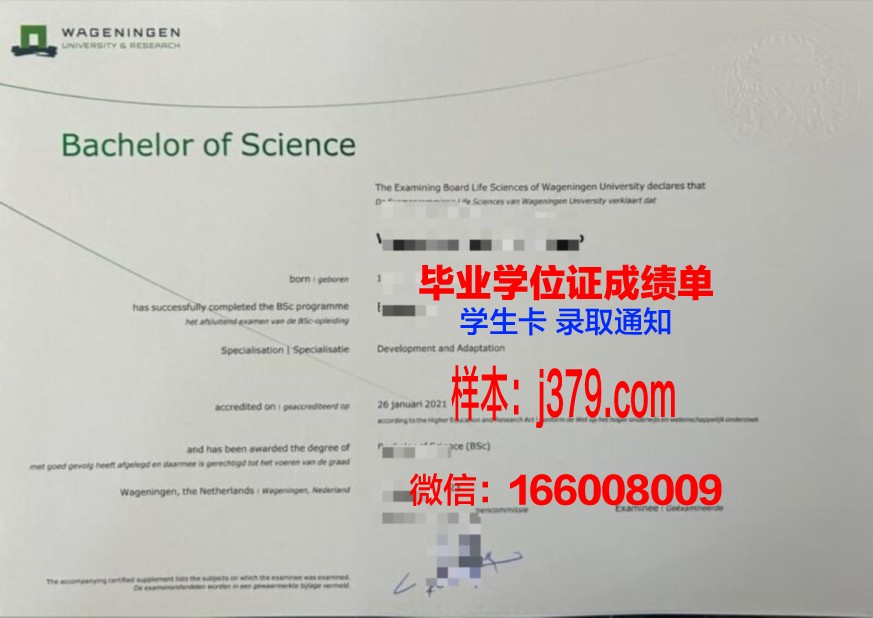 哈韦大本科证书:含金量与就业前景分析