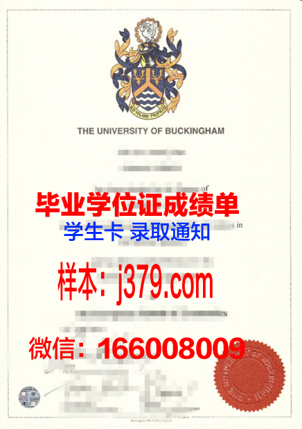 白金汉郡高教新里程:本科证书全新上线