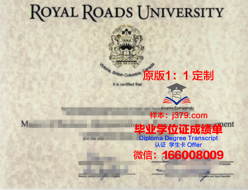 人工智能专业学位证书