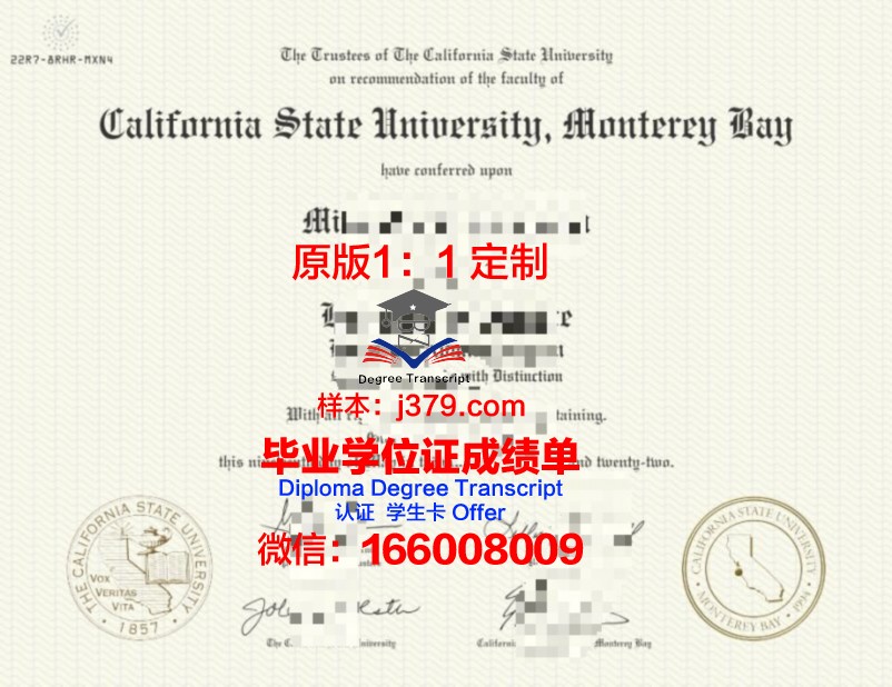 蒙特雷国际研究学院本科阶段毕业文凭