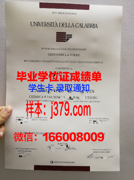卡拉奇大学学位证书