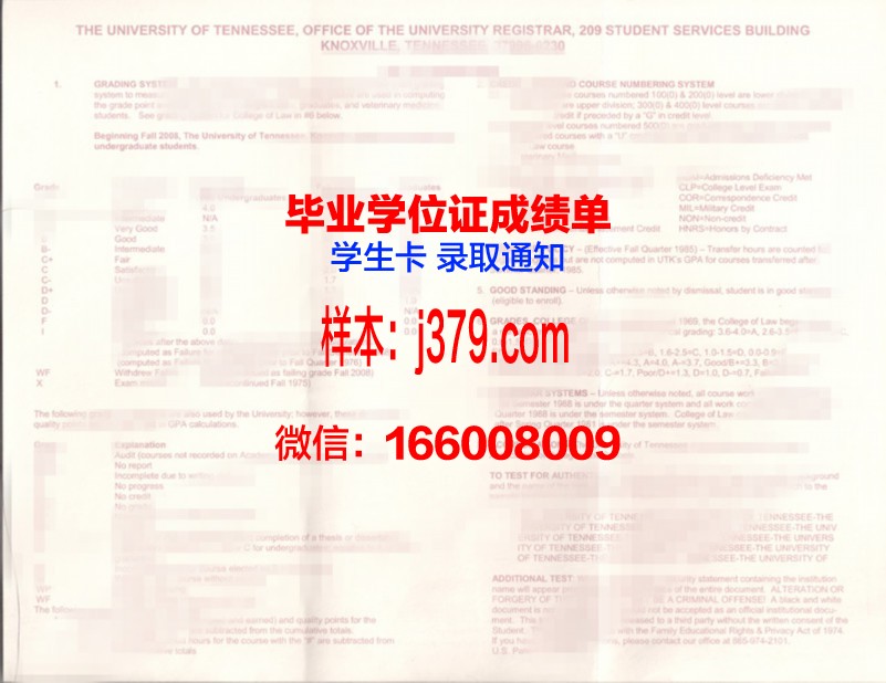 田纳西大学查塔努加分校 diploma证书