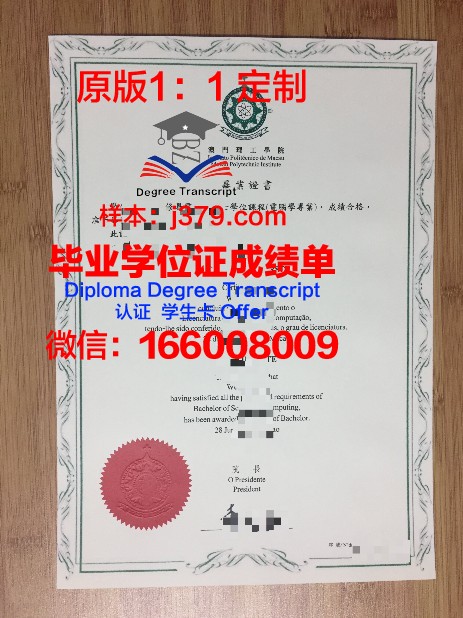 萨大学本科毕业证:毕业生的职业发展路径