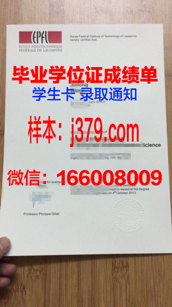 布尔诺理工硕士学历证书