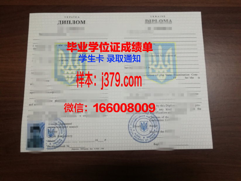 乌克兰国立冶金技术大学毕业文凭