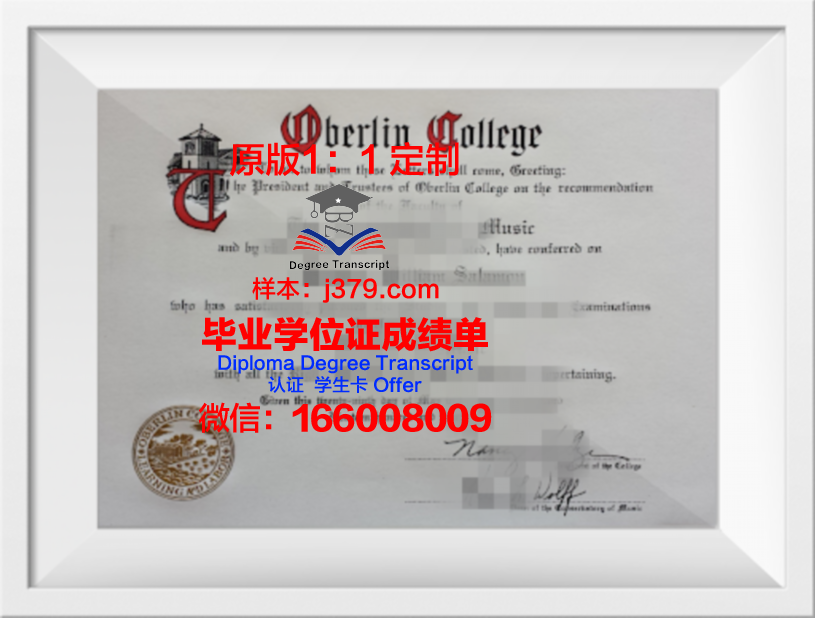 柏林工大本科证书课程设置与专业方向介绍