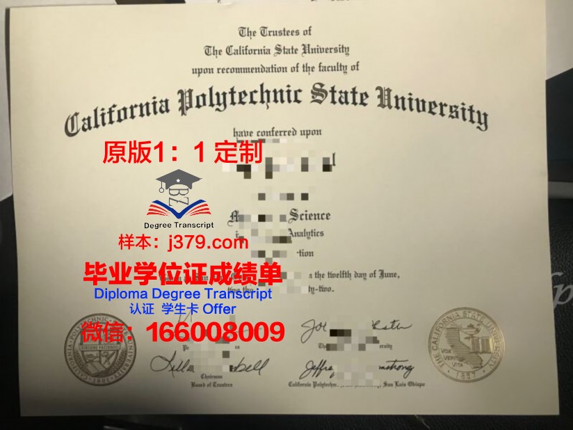 利沃理工本科证书:专业课程设置详解