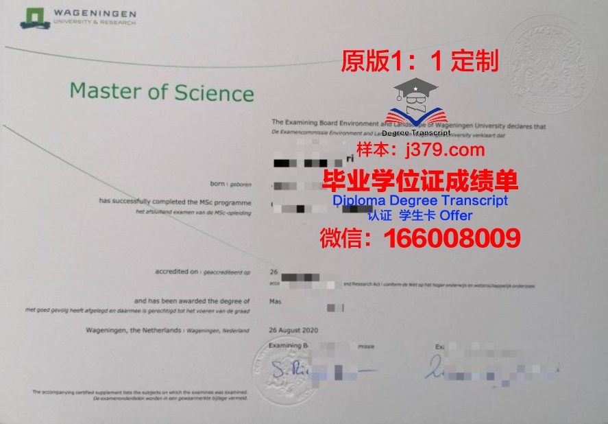 艾莉大毕业证学历:教育背景的黄金招牌