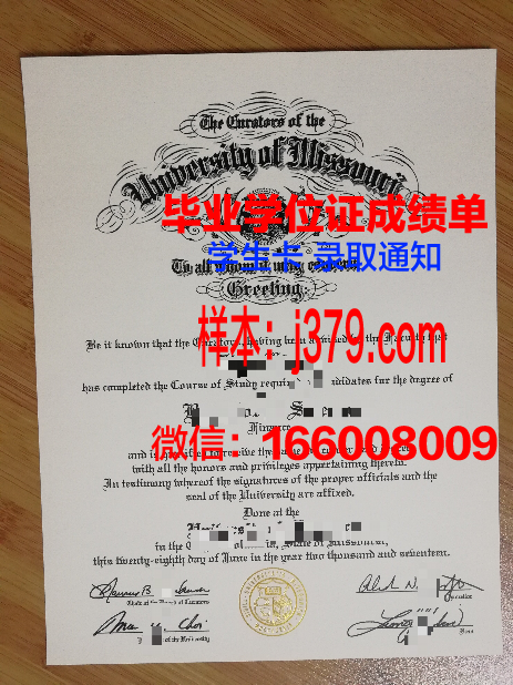 密苏里科技大学学历在职场中的应用