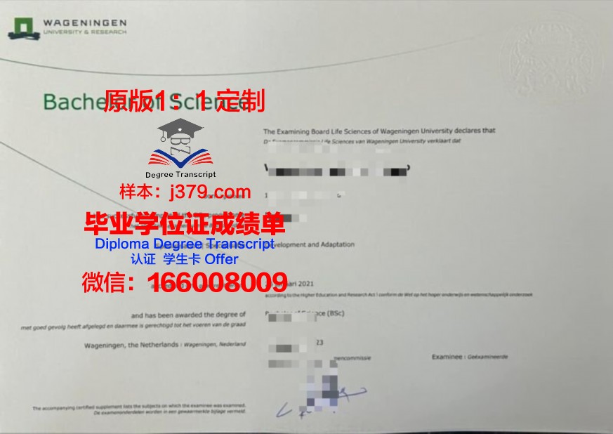 INN大学本科证书国际认可度探讨