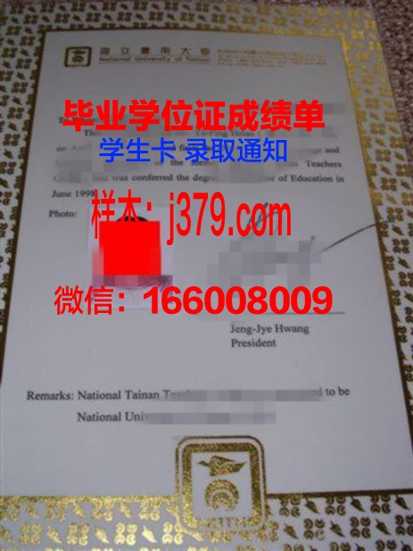 CU本科证书:专业选择与未来发展方向