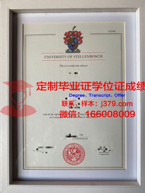 斯泰伦博斯大学文凭获取