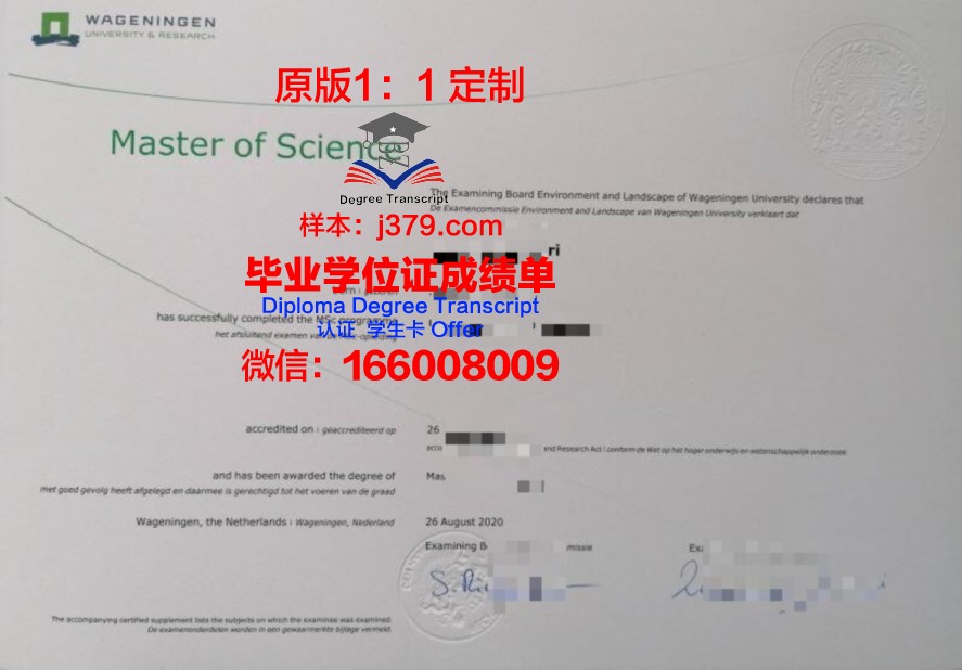 IBAM本科毕业证国际认可度探讨
