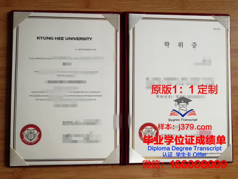 庆熙研究生证书:跨专业申请与转换策略
