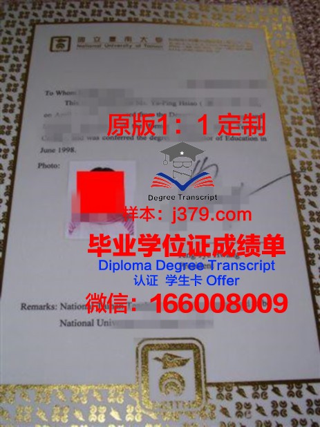 首东大本科证书:专业选择指南