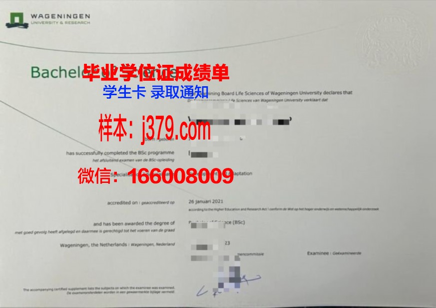 CSU本科阶段毕业资格证书