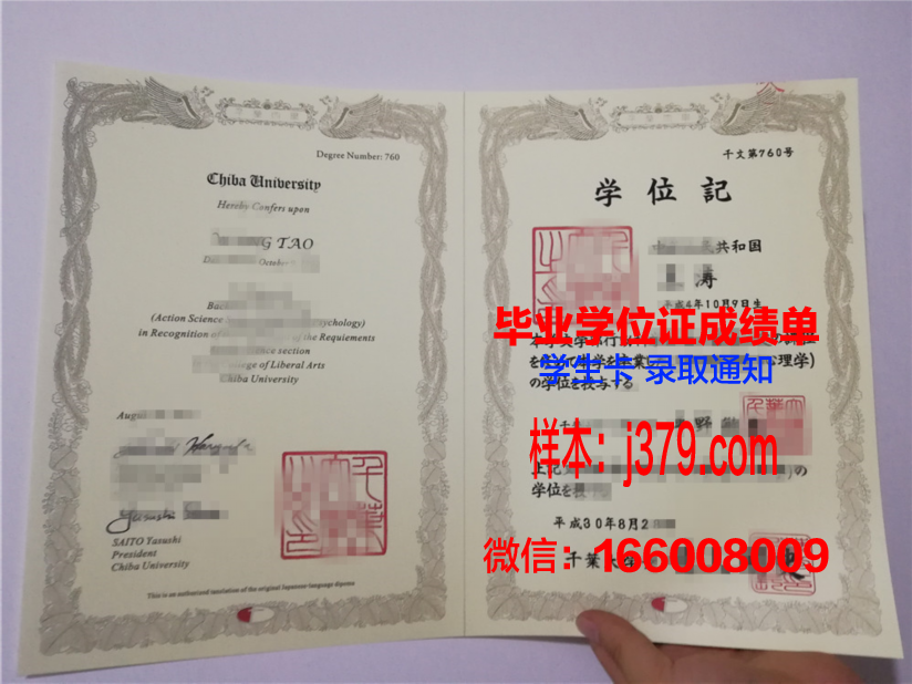 千叶大学本科学位文凭