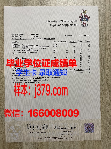 IITM成绩单解读:全面分析各项成绩