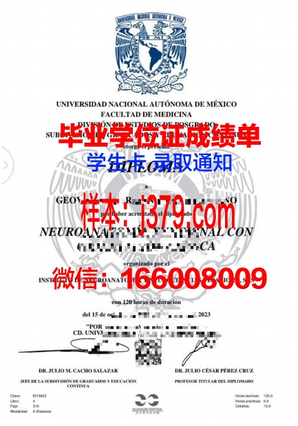 详解自治本科证书:打造个性化学习路径