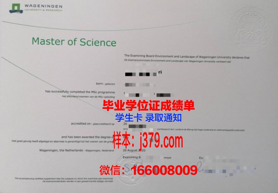河国大硕士证书:学费与奖学金申请指南