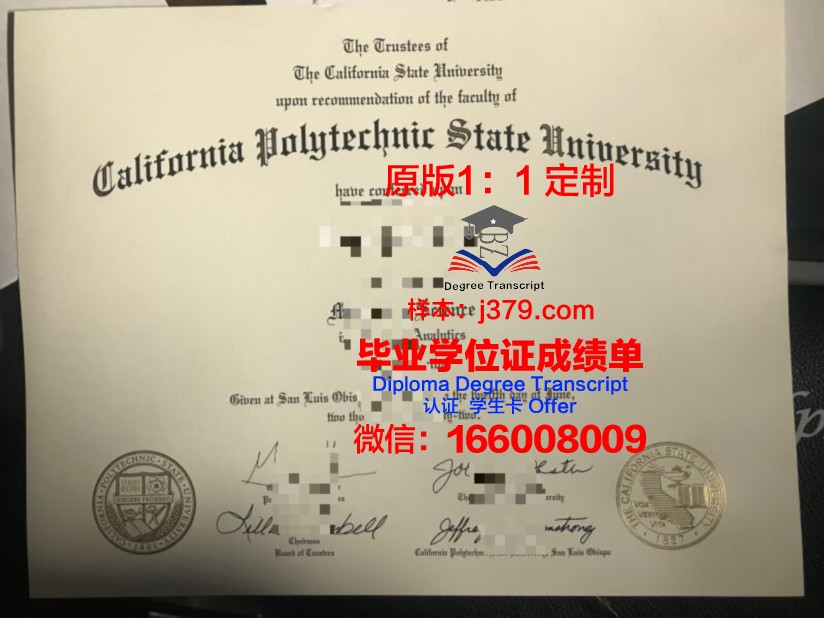 卡理工Diploma证书与学历的关系探讨