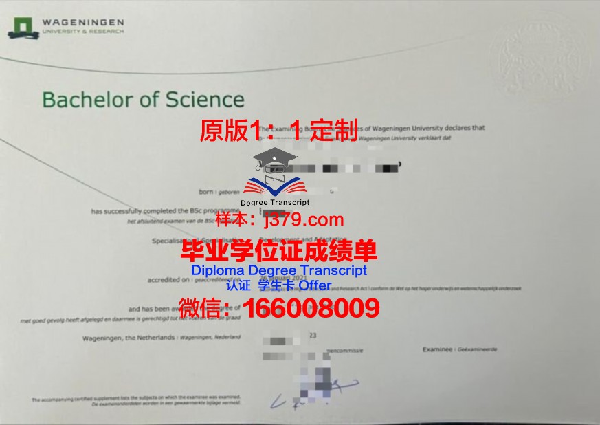 解读莫核大本科证书:课程设置与学术价值