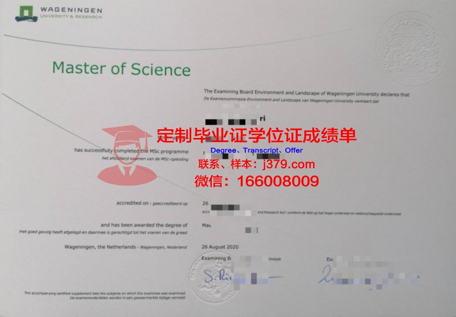 The Tech毕业证:与国内外知名高校的竞争力对比