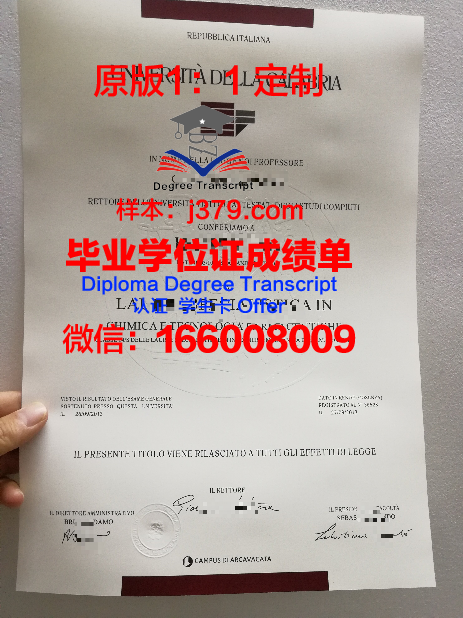 卡拉奇大学学位证书