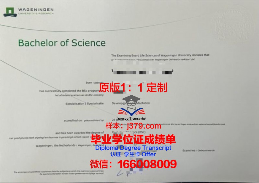 东海本科证书课程设置与特色