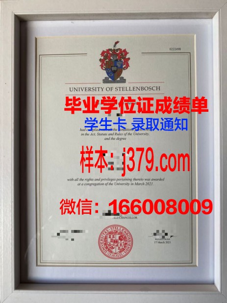 斯泰伦博斯大学专业文凭证书