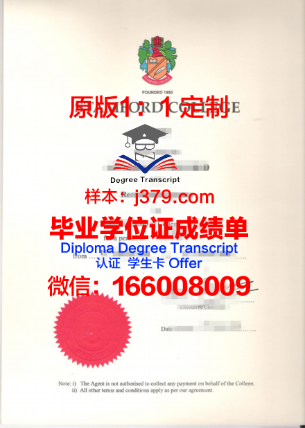 亚太研究生证书项目解析