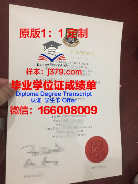 利默里克大学毕业生如何使用电子毕业证求职