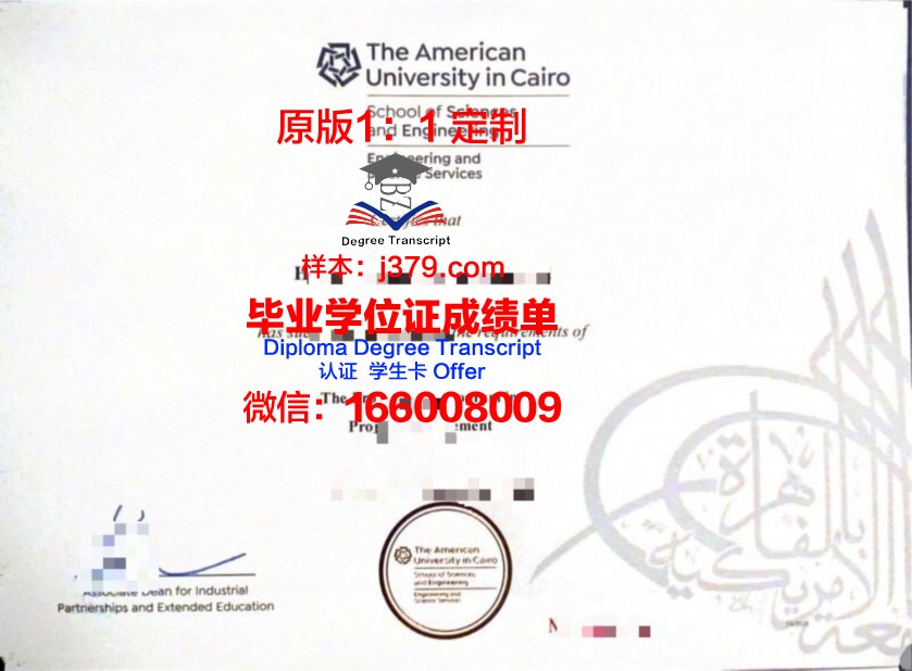 开罗证书成绩单常见问题解答