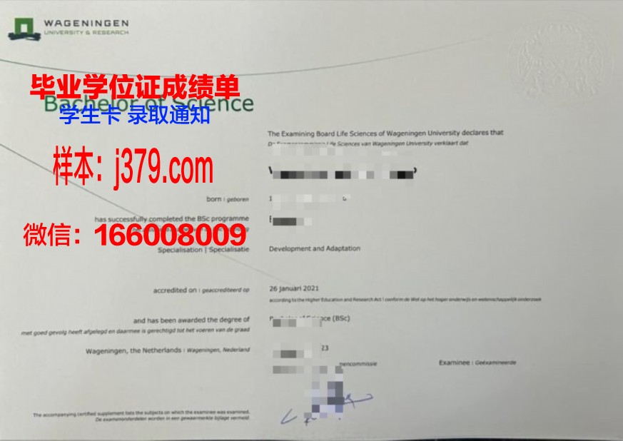 WGCC本科证书国际认可度研究