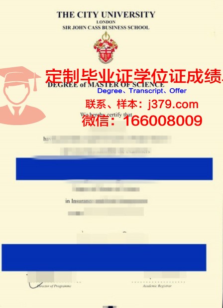 解读卡斯鲁厄理工博士毕业证:含金量评估