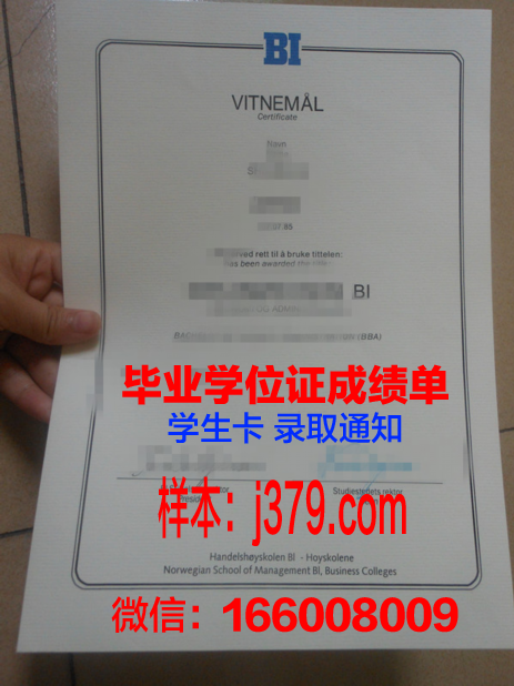 西挪威应用科学大学文凭获取