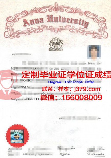 印度理坎普硕士证书:跨国教育合作的典范