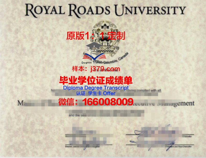 S.King U. 本科学位资格证书