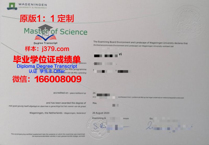 东工大毕业证学历:职场竞争力分析