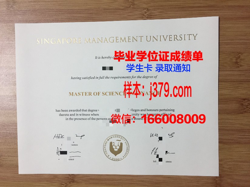 新加坡科技设计大学硕士文凭