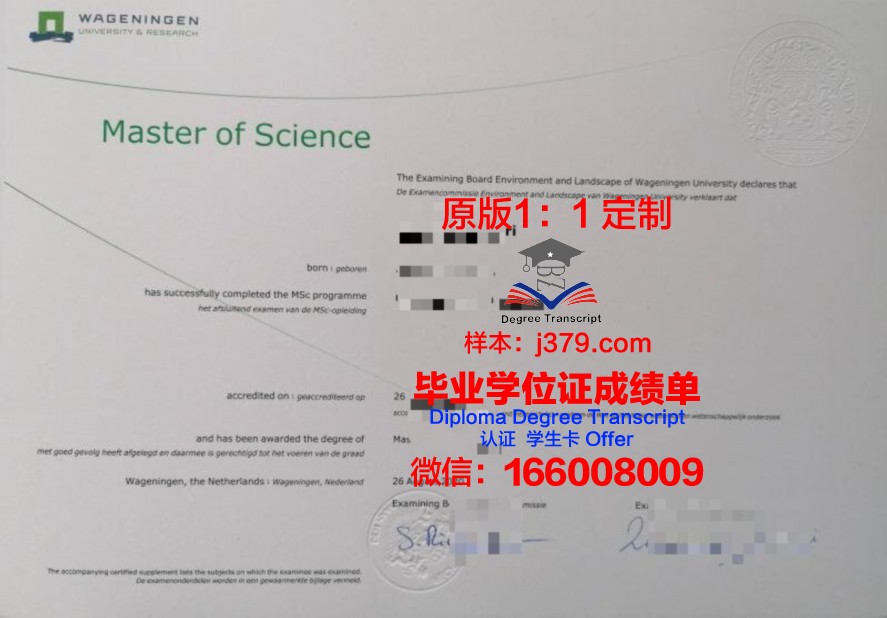 自大硕士证书:学术成就与个人成长的反思
