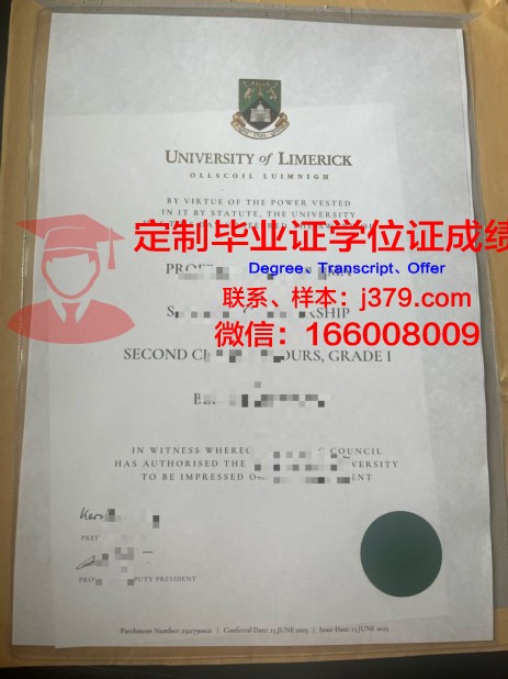Limerick Tech博士证书:专业领域的研究巅峰