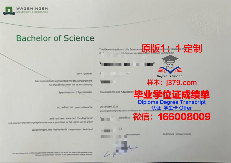 首东大本科证书:专业选择指南
