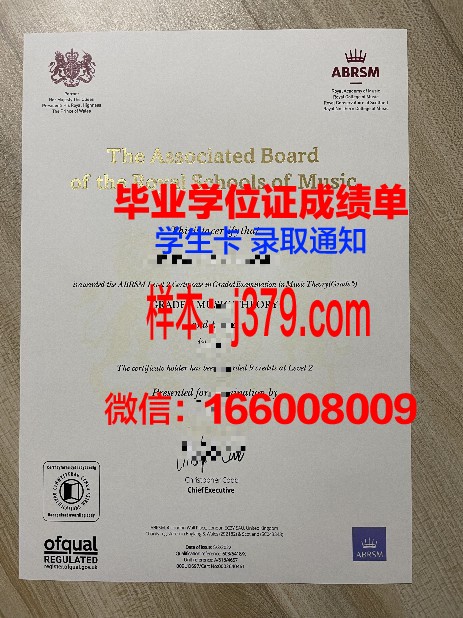 YVRHM博士证书:破解学术晋升之谜