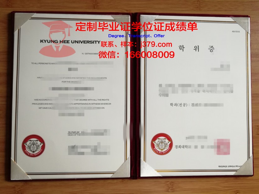 庆熙研究生证书:跨专业申请与转换策略